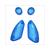 RAW-BOL GLAS YAMAHA AEROX ot SET BLAUW