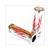 HANDVATTEN TRIBE CHROOM ROOD