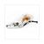CLIGNOTEUR HONDA SH 125/150cc G.D.