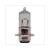BULB PX15D 12V 35/35W H6 HALOGEN (1)