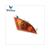 CLIGNOTEUR HONDA CHIOCCIOLA  D.D. CE